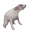 dogdance