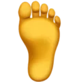 Foot