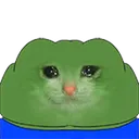 feelschungus