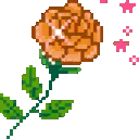 RoseBloom