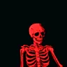 Skeleton