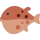 blowfish_blink