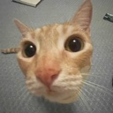 :stare: