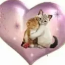 miauabrazo_SR