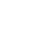 NonflawRON
