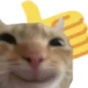 thumbsupcat