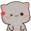 er_wink