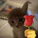 emoji_22