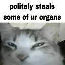 OrganTrafficking