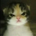 emoji_75
