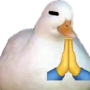 pray