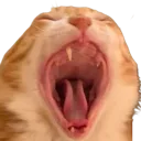 aaa