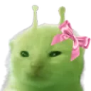 girlp