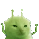 glahoo