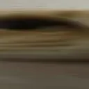 verywidesilence2