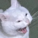 HELP
