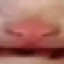 iiii