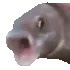 OOOO