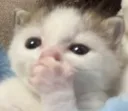 gasp gasp