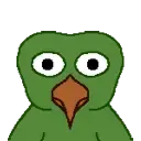 BirdgeStare