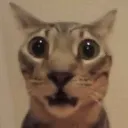 AHHHHH AHHHHH