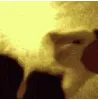 SCrainbowwave3