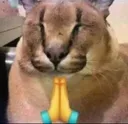 floppyshalom