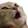 CatPogCoomin custom emote - 🛕𝗭𝗼𝗱𝗶𝗮𝗻 𝗘𝗺𝗽𝗶𝗿𝗲🛕