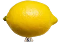 MicheleBigLemon