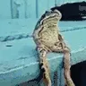 Chillin