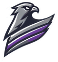 Grand Falcons logo