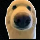 chillbert