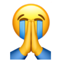 Discord Emote Sob_Pray:
