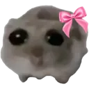sadhampter sadhampter