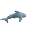 blahajspin