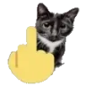 fucat
