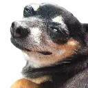 cheesefarts cheesefarts