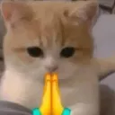 er_namaste er_namaste
