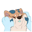 Squish