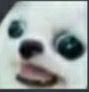 ppwhat Discord emoji