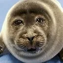 seel