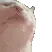 cat_dance2