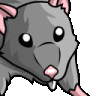 RatJamSoT Discord emoji