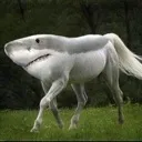 hork