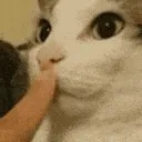 ssshh