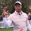k_bigdog