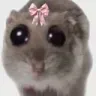 imjustatoe