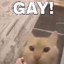 gay