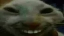 hehe