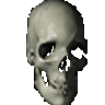 98060spinningskull
